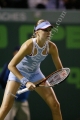 Hantuchova Daniela
