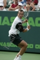 Stepanek Radek