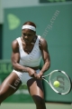 Williams Serena
