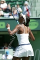 Williams Venus